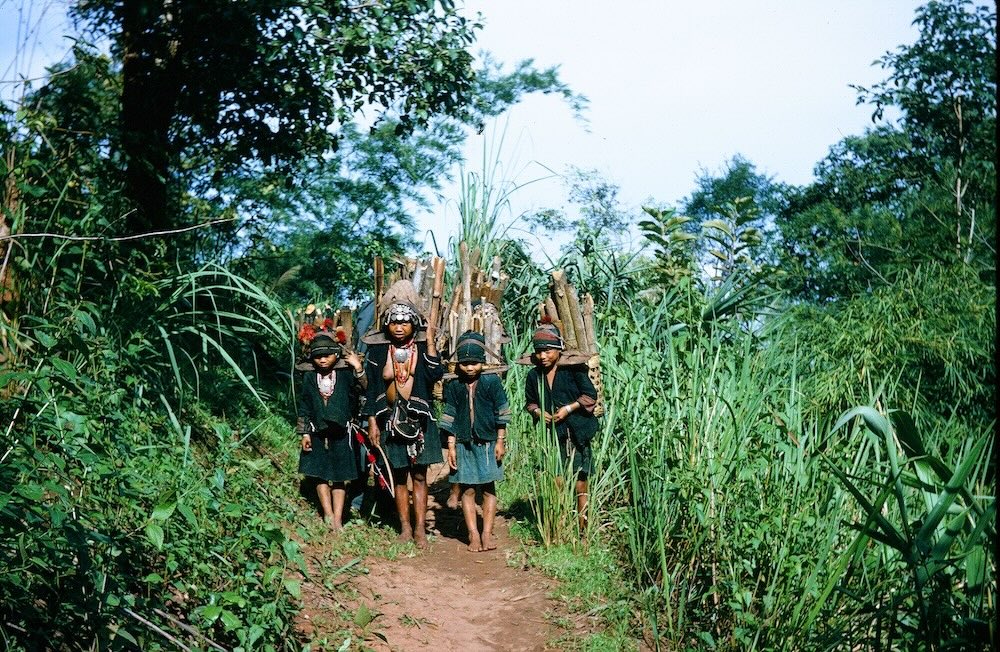 Hilltribe woman and girls carrying bamboo in Northern Thailand.